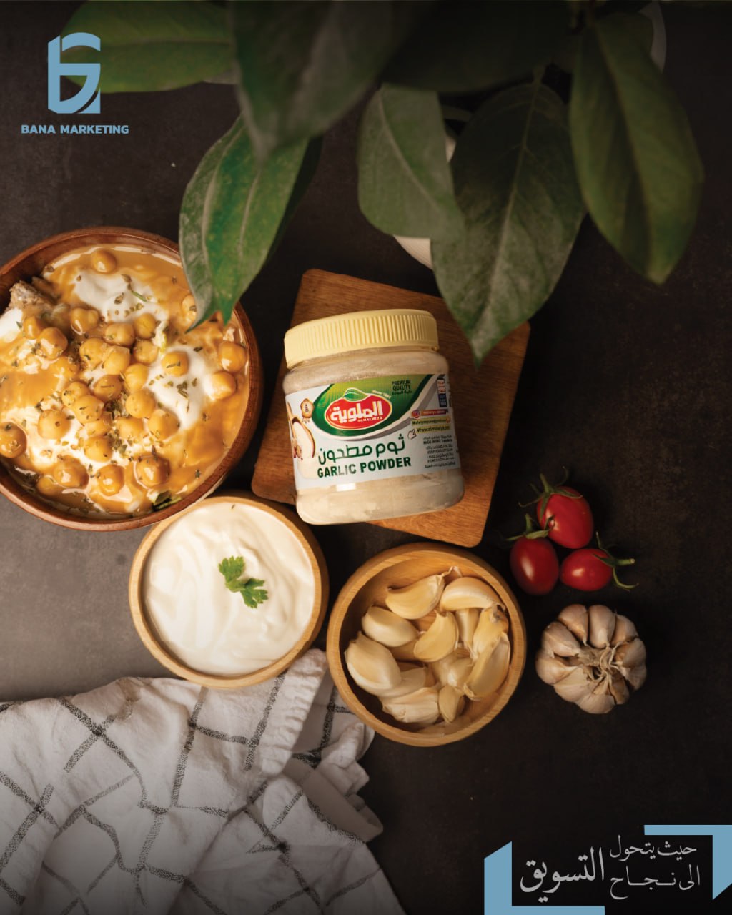 صبغ لوزينة — الملوية